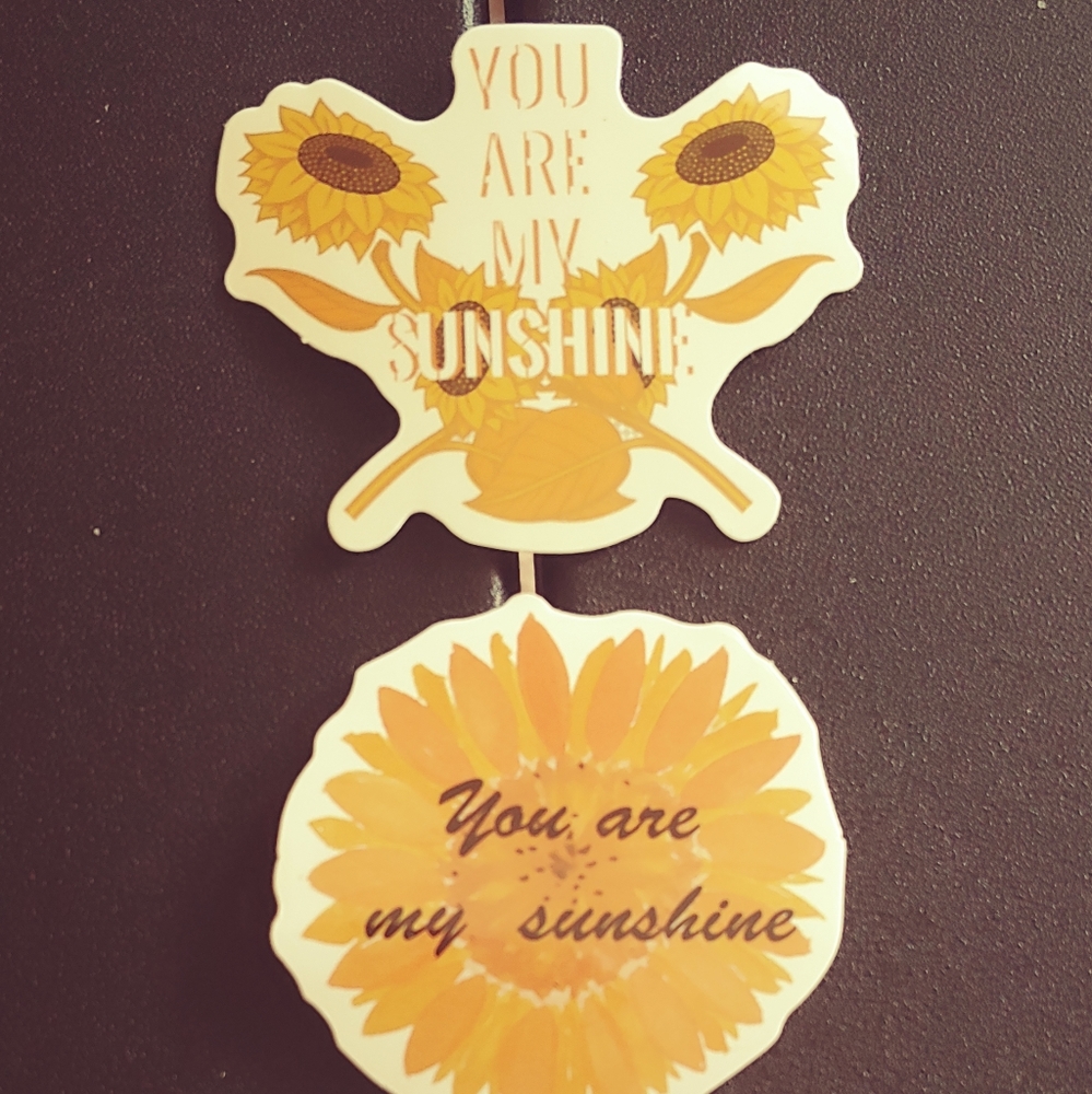 3 pack You are My Sunshine 🌞 🌻 Stickers